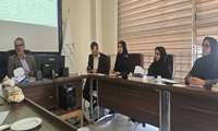 بررسی ۵۵ درخواست نقل و انتقال کارکنان در کمیته نقل و انتقالات مرداد ماه ۱۴۰۵دانشگاه علوم پزشکی همدان